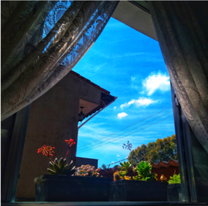 Foto: Suzana Martins - (minhas janela)